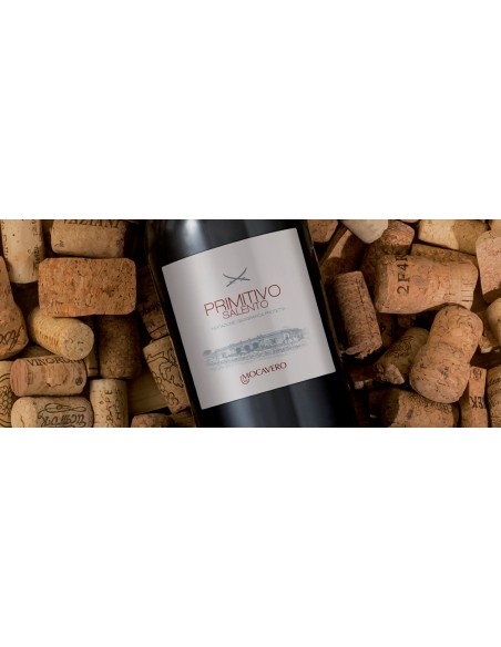 Mocavero vini primitivo-salento-top da Sapori Salento